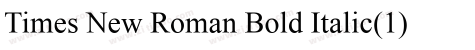 Times New Roman Bold Italic(1)字体转换